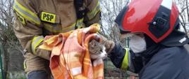 Zdjęcie przedstawia dwóch strażaków PSP, z których jeden trzyma w kocu zawiniętego kota. 