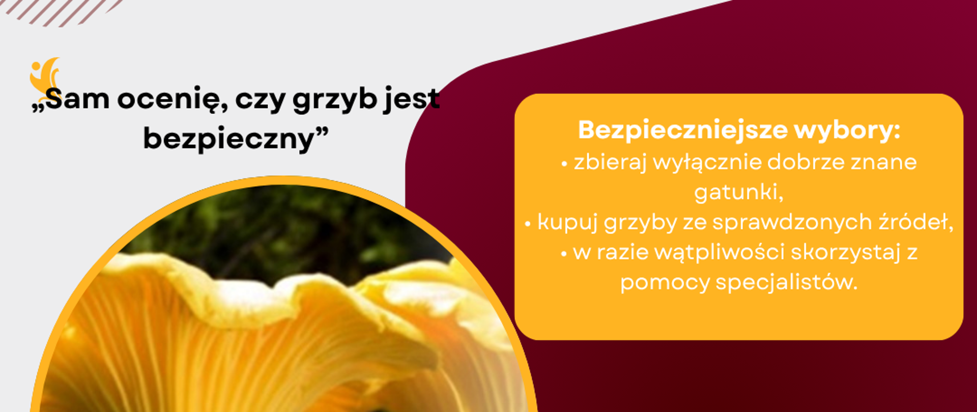 „Sam_ocenię,_czy_grzyb_jest_bezpieczny”(1)