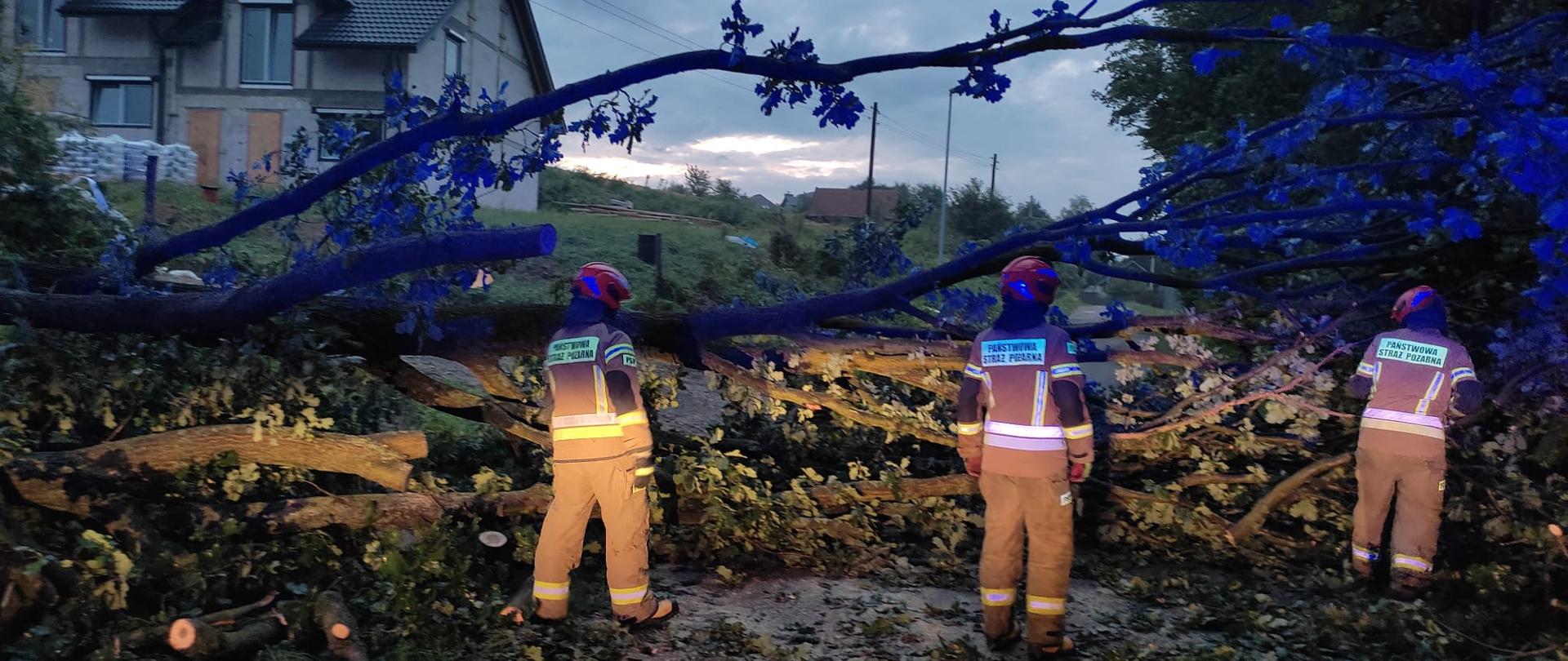 Na zdjęciu jest widocznych trzech funkcjonariuszy Państwowej Straży Pożarnej w Strzyżowie w umundurowaniu specjalnym usuwających dużych rozmiarów powalone drzewo na drodze. W tle budynek mieszkalny.