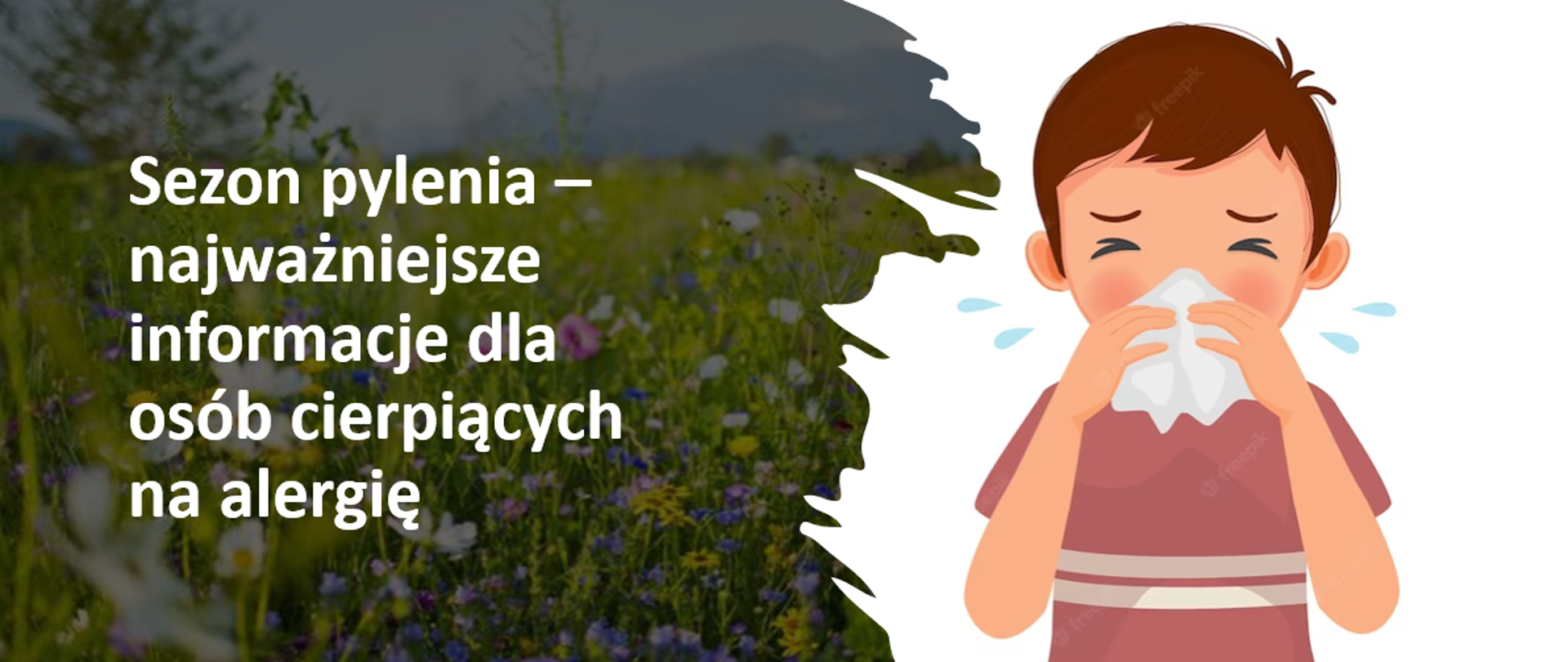 grafika przedstawia chłopca mającego uczulenie na pyłki roślin