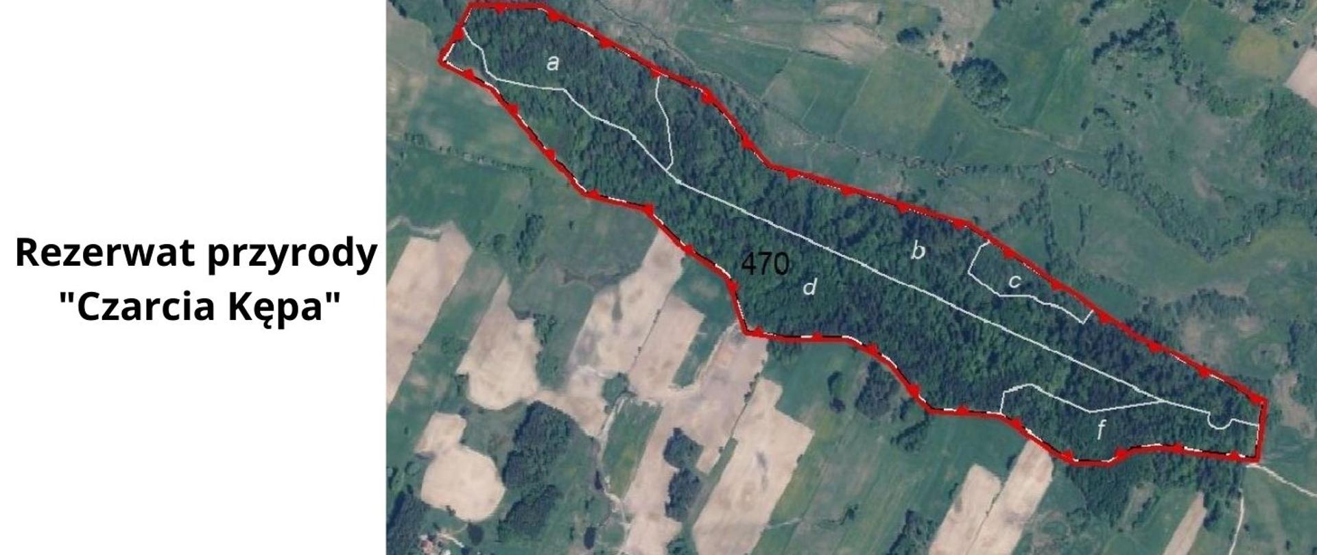 Po lewej stronie czarny napis na białym tle: Rezerwat przyrody Czarcia Kępa, po prawej stronie fragment mapy topograficznej z przebiegiem granicy rezerwatu przyrody Czarcia Kępa