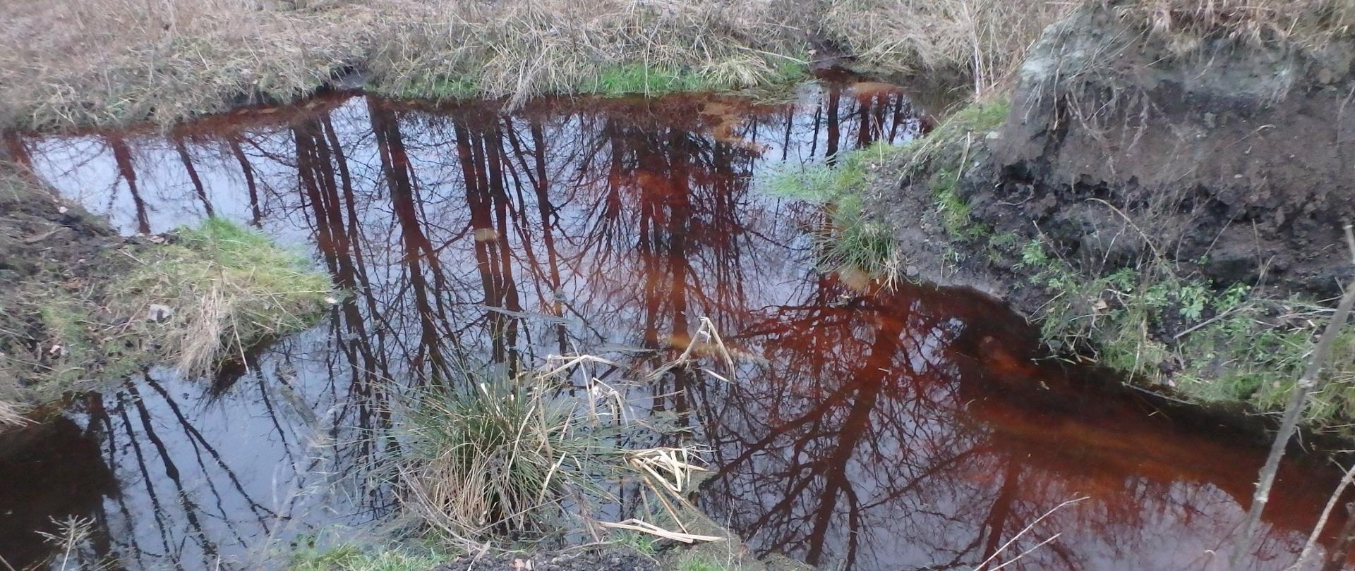 Woda w rowie o kolorze brązowo-brunatnym