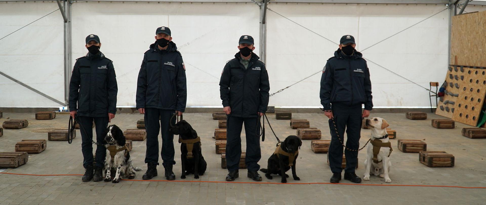 Cztery psy KAS z przewodnikami.