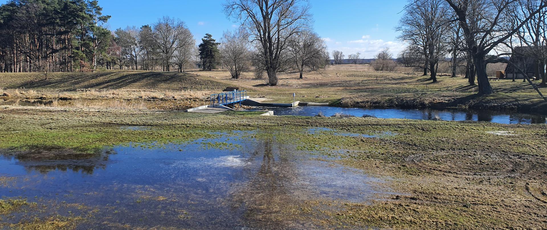 Na zdjęciu ujście rzeki Moskawa do Warty
