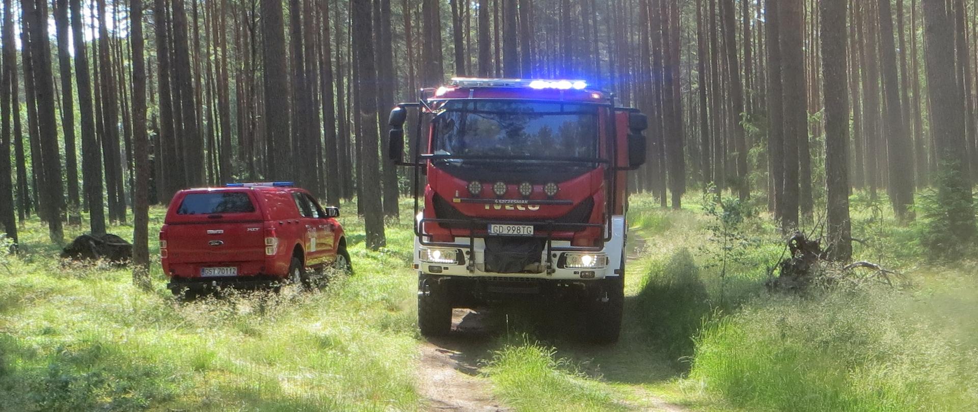 Zdjęcie przedstawia samochody straży pożarnej w lesie podczas prowadzonych działań