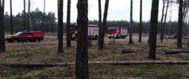Zdjęcie przedstawia samochody strażackie w lesie