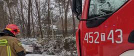 W porze dziennej (aura zimowa) stoi strażak przed samochodem gaśniczym strażackim na poboczu drogi. W tle auto osobowe białe w przydrożnym rowie.