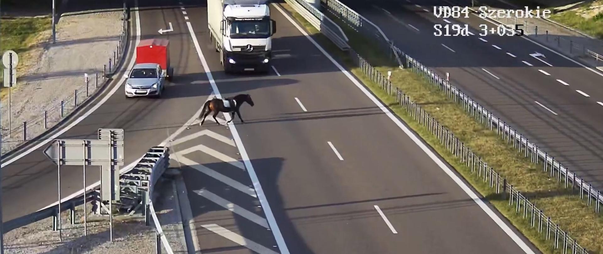 Koń wbiegł na drogę S19 na obwodnicy Lublina