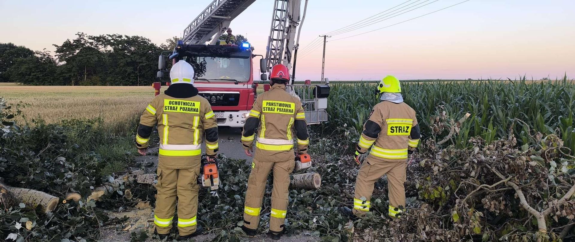 Trzech strażaków stoi na drodze zasypanej gałęziami i pociętymi fragmentami drzewa. Przed nimi znajduje się samochód ratowniczy z podnośnikiem, a obok rozciąga się pole kukurydzy.