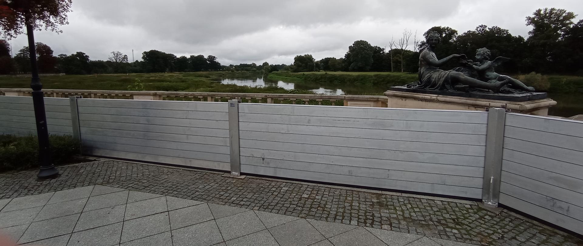 Ćwiczenia "ODRA 2021"