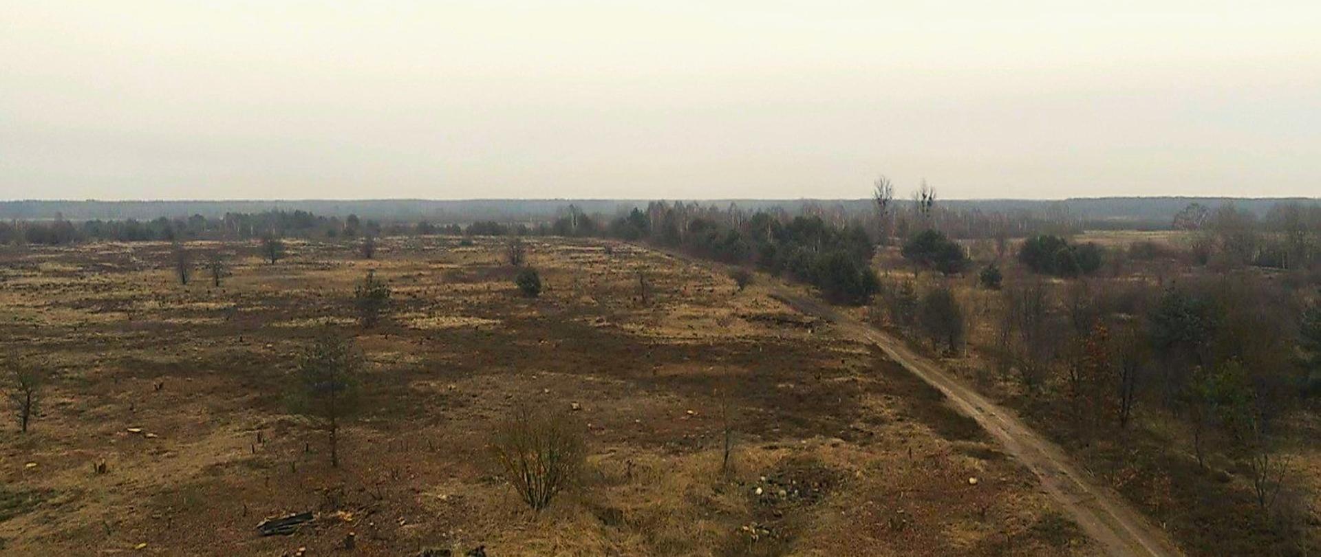 Wrzosowisko w Orzechowie - panorama