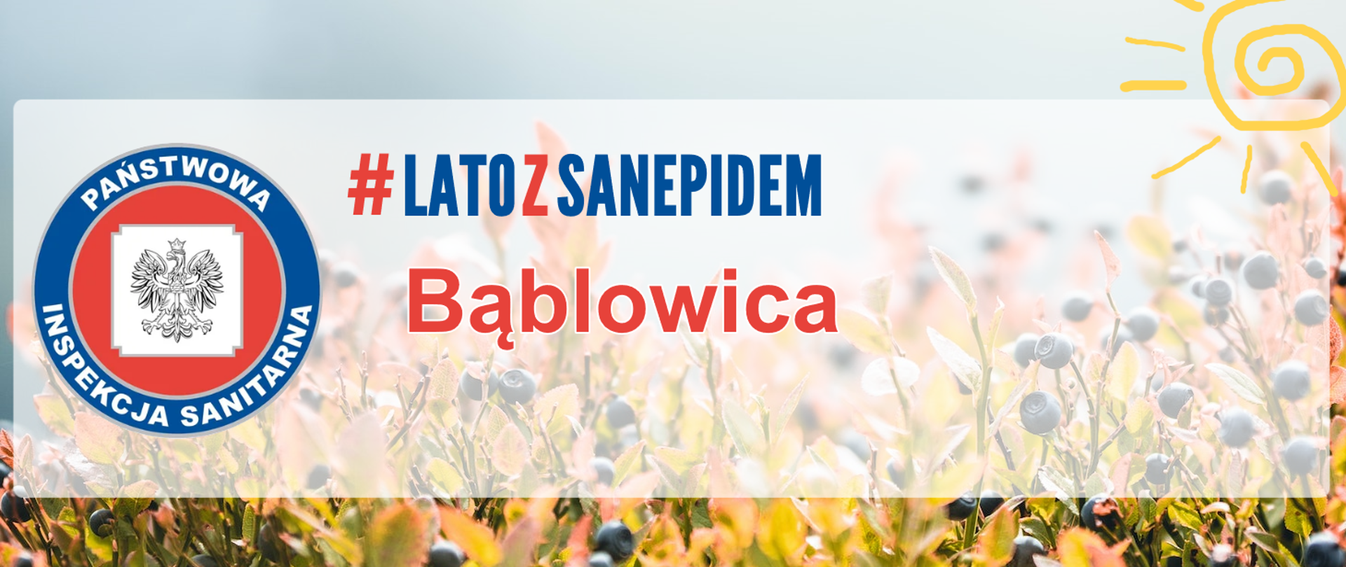 Grafika przedstawia zdjęcie jagód, poniżej znajduje się napis: #latozsanepidem, bąblowica, obok napisu logo Inspekcji Sanitarnej