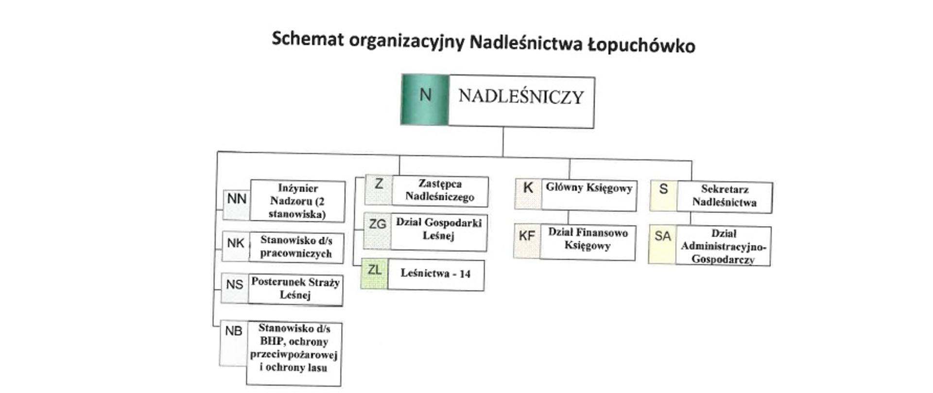 Zdjęcie przedstawia schemat organizacyjny Nadleśnictwa Łopuchówko