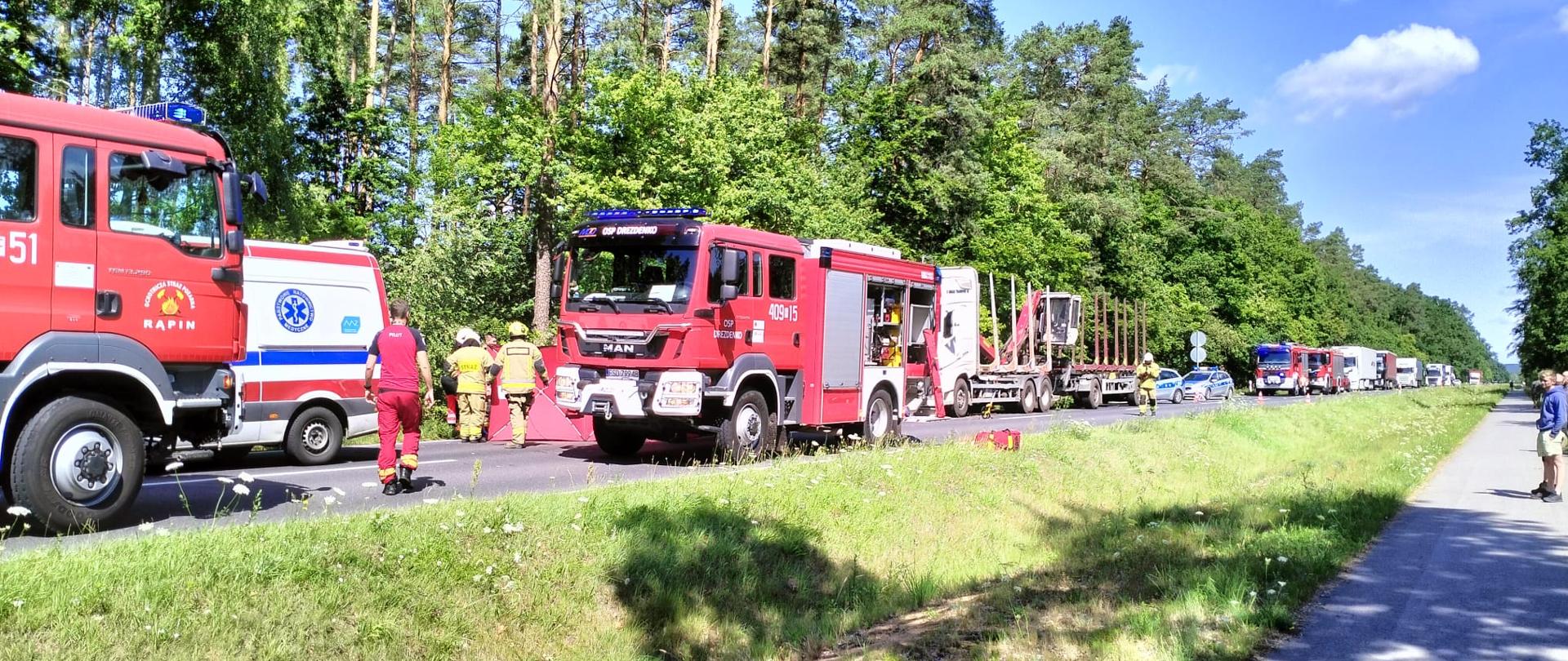 Fotografia przedstawia ujęcie wzdłuż drogi wojewódzkiej nr 160. Na drodze widoczny sznur pojazdów pożarniczych i cywilnych, ruch całkowicie wstrzymany. Jest dzień, słoneczna pogoda.