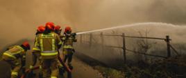 Strażacy Państwowej Straży Pożarnej kierują silny strumień wody w gęsty dym przy ogrodzeniu podczas gaszenia pożaru Puszczy Solskiej.