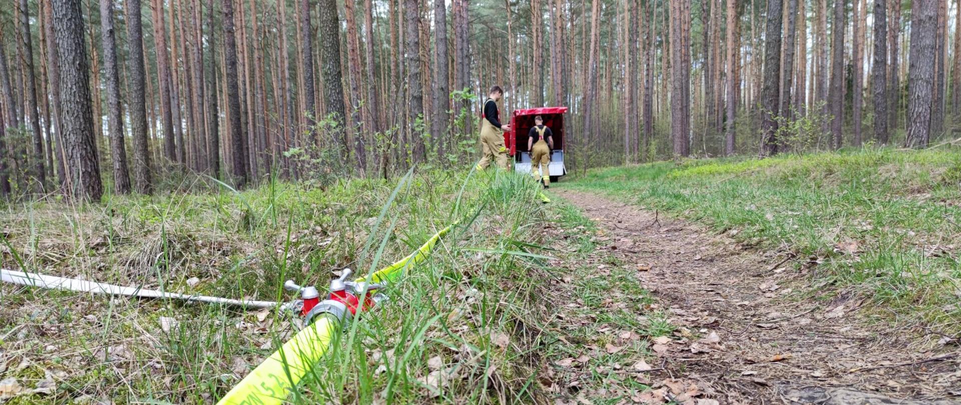 Las, przyczepa, węże, rozdzielacz, strażak.