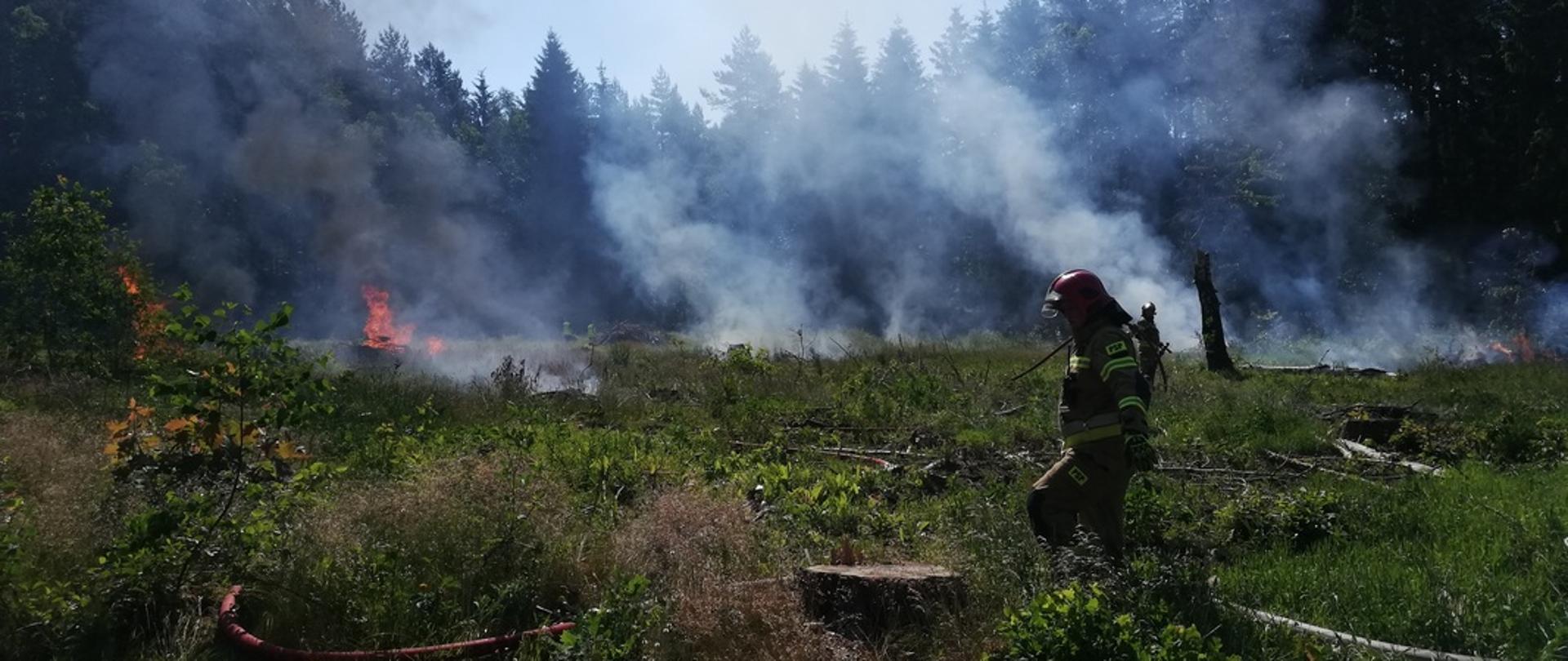 Dym i ognień na otwartej przestrzeni przy lesie. Strażak rozmija węże strażackie.