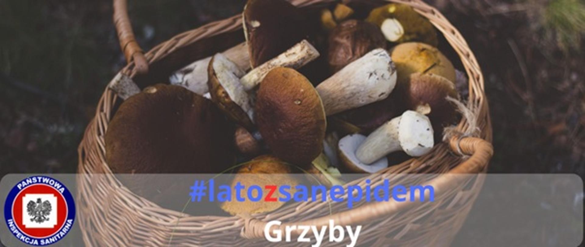 Zdjęcie przedstawiające koszyk z grzybami, logo Powiatowej stacji Sanitarno-Epidemiologicznej oraz napis #latozsanepidem Grzyby 