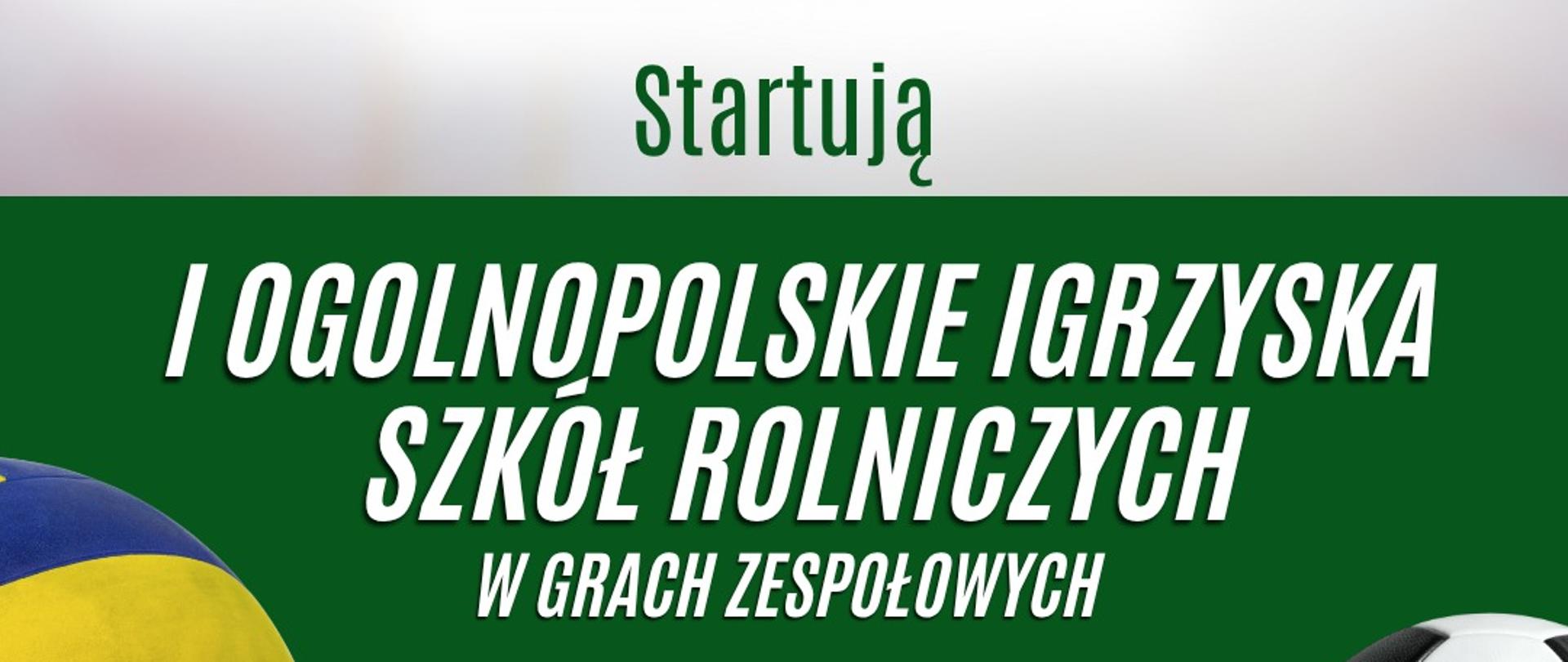 Plakat promujący I Ogólnopolskie Igrzyska Szkół Rolniczych w grach zespołowych