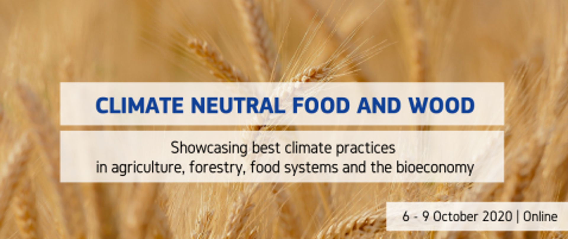 foto webinar 6-9.10.2020