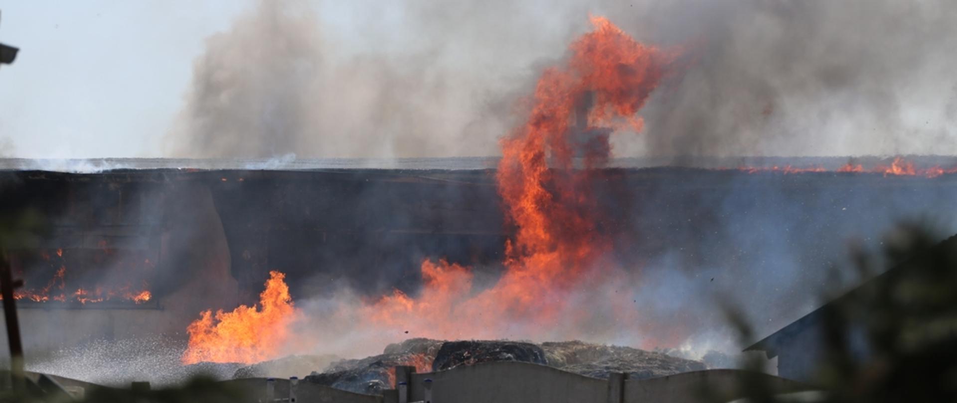 Zdjęcie przedstawia palące się baloty sprasowanej makulatury, ogień rozprzestrzenia się na budynek magazynowy 