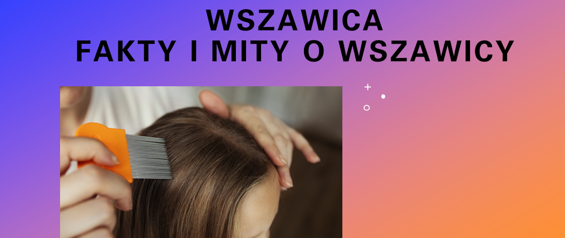 Wszawica
