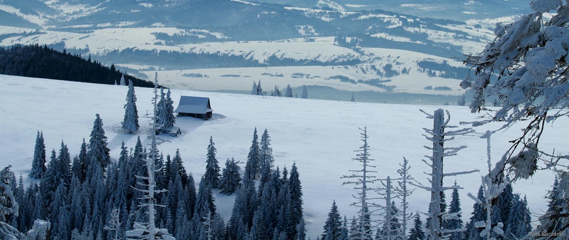Widok Górczański Park Narodowy zimą, krajobraz pod śniegiem