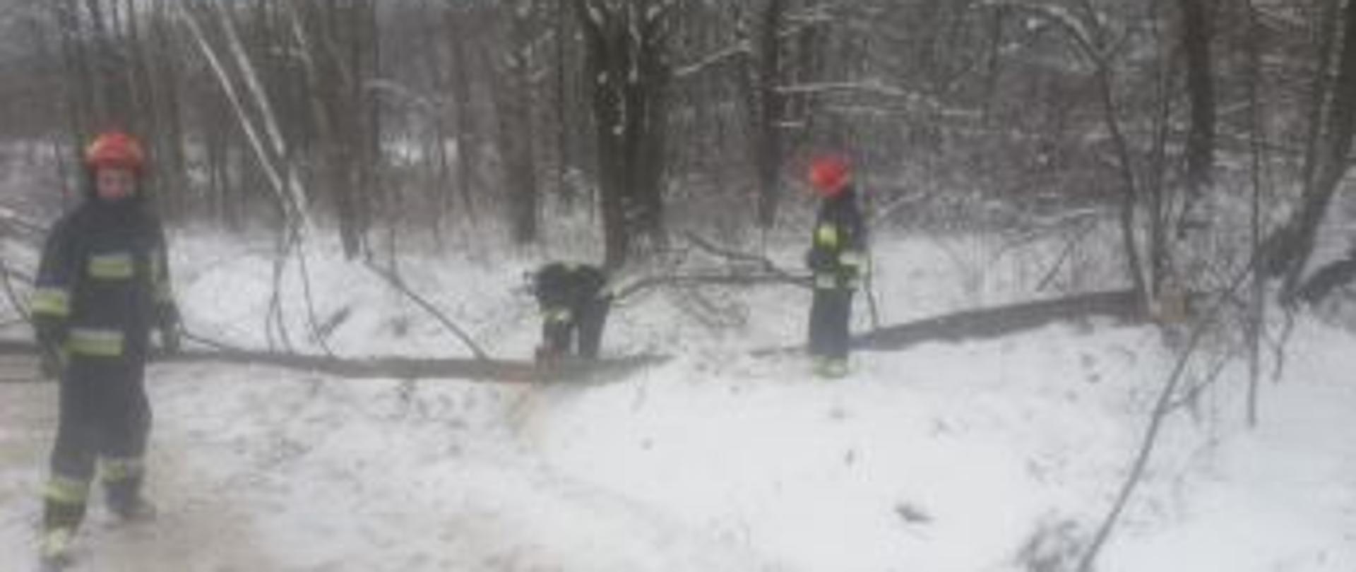 Zdjęcie przedstawia przewrócone drzewo na zaśnieżoną drogę, strażaków tnących piłą spalinową oraz oczekujących na możliwość usunięcia drzewa poza jezdnię.