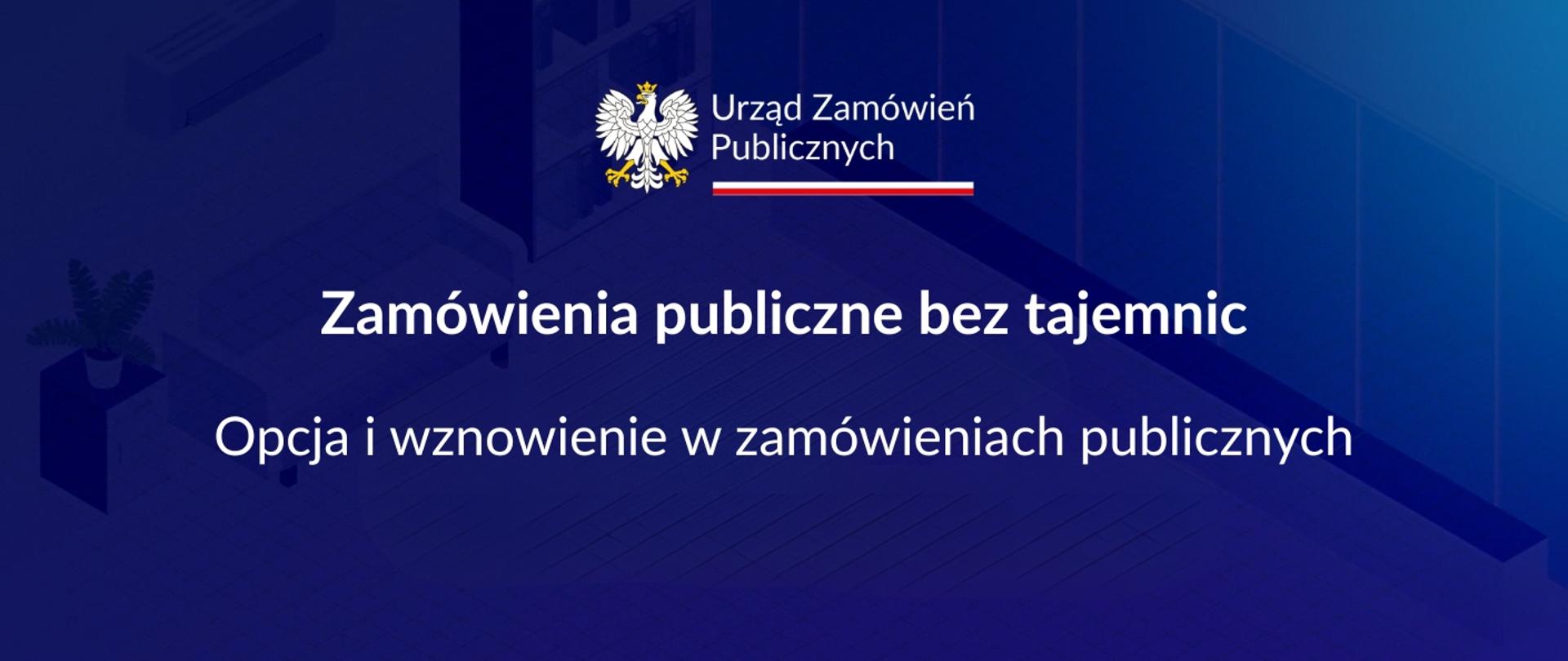 Opcja i wznowienie w zamówieniach publicznych
