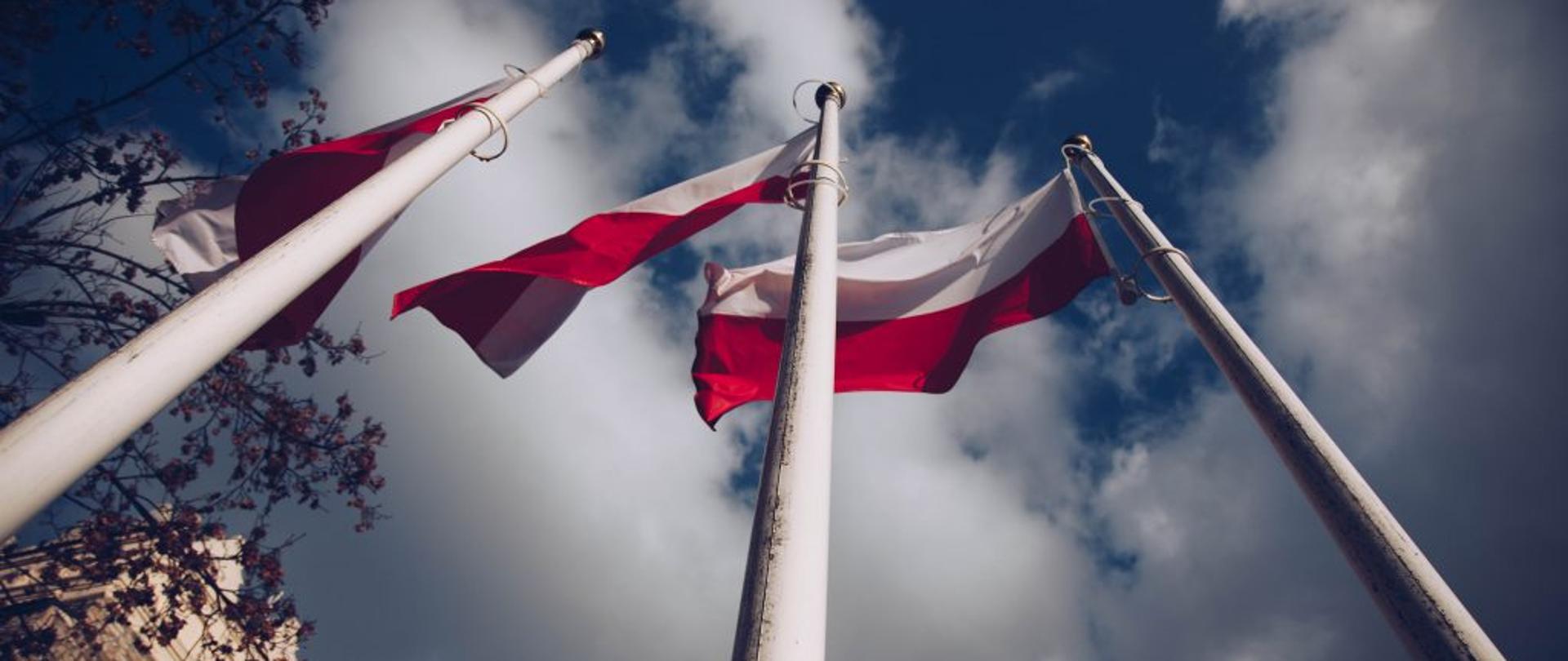 Na trzech białych masztach powiewają polskie flagi narodowe. Widok od dołu - od stóp masztów. W tle częściowo zachmurzone niebo, a po lewej stronie bezlistne gałęzie drzewa oraz fragment krapkowickiej baszty.