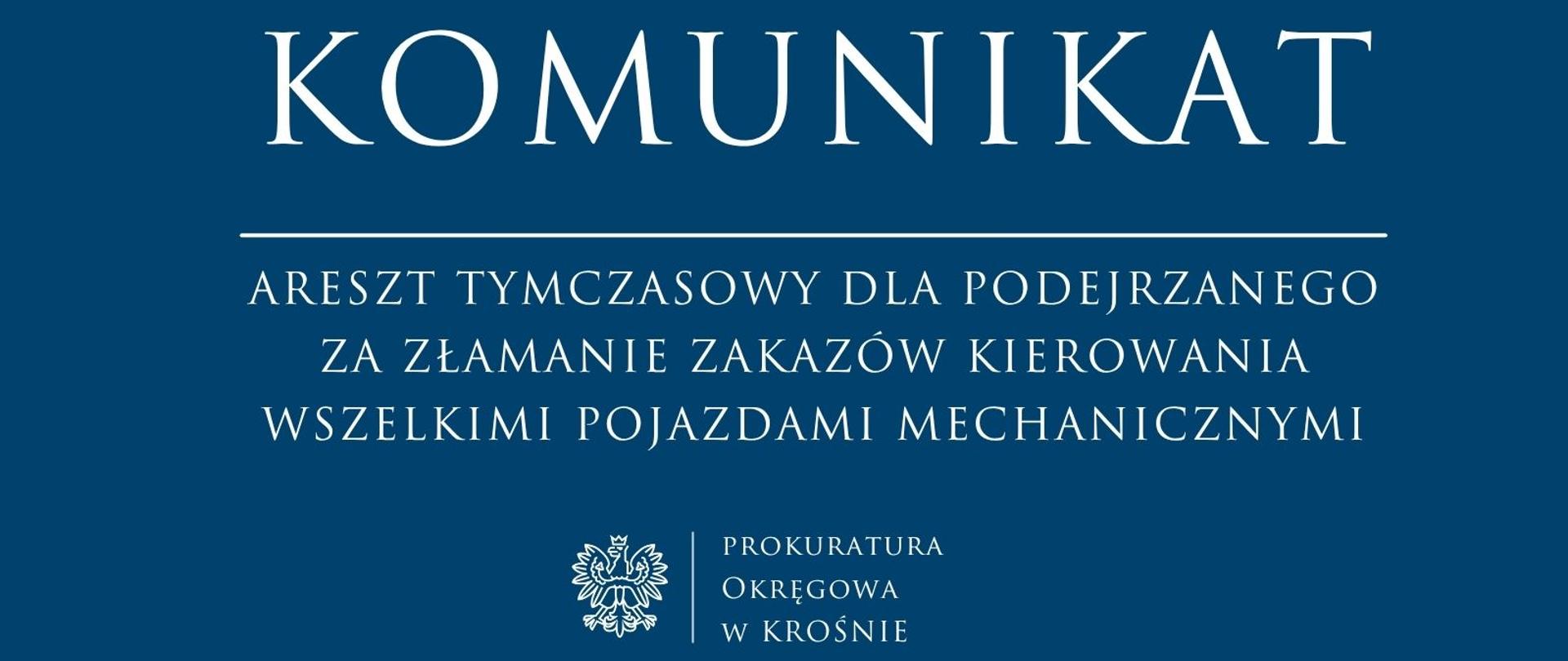 Areszt tymczasowy dla podejrzanego za złamanie zakazów kierowania wszelkimi pojazdami mechanicznymi
