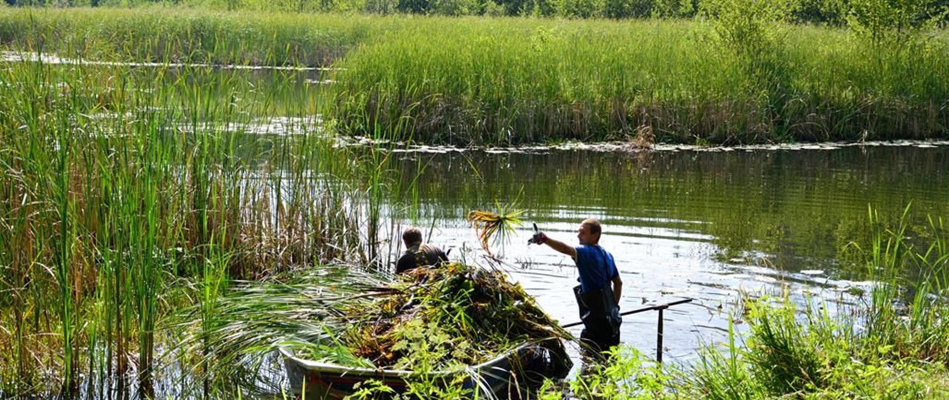 W centralnej części znajduje się jezioro, po którym płynie łódź, obok niej w wodzie stoi dwóch mężczyzn. Wokół zielone trzciny, w oddali drzewa.