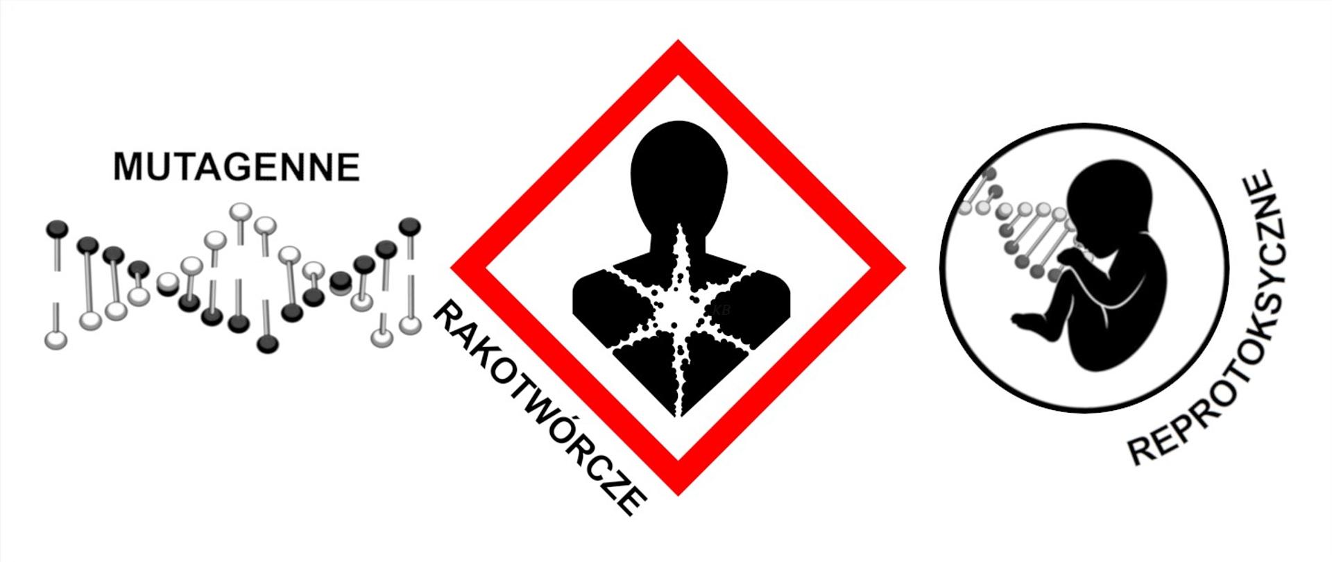 piktogramy ostrzegawcze na temat rakotwórczości substancji chemicznych, po lewo uszkodzony łańcuch DNA symbolizujący mutagenność substancji chemicznych, po prawo szkic płodu dziecka symbolizujący reprotoksyczność substancji chemicznych