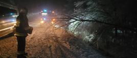 Zdjęcie przedstawia pochylone drzewo nad jezdnią. Jest pora nocna. Obok drzewa widać strażaka ubranego w ubranie specjalne i biały hełm w ręku trzyma spalinową piłę łańcuchową do ciecia drewna. Za uszkodzonym drzewem widać przód pojazdu pożarniczego który ma włączone światła drogowe i niebieskie światła błyskowe. Po lewej stronie widać przejeżdżający pojazd typu bus. Na jezdni widać grubą pokrywę śniegu