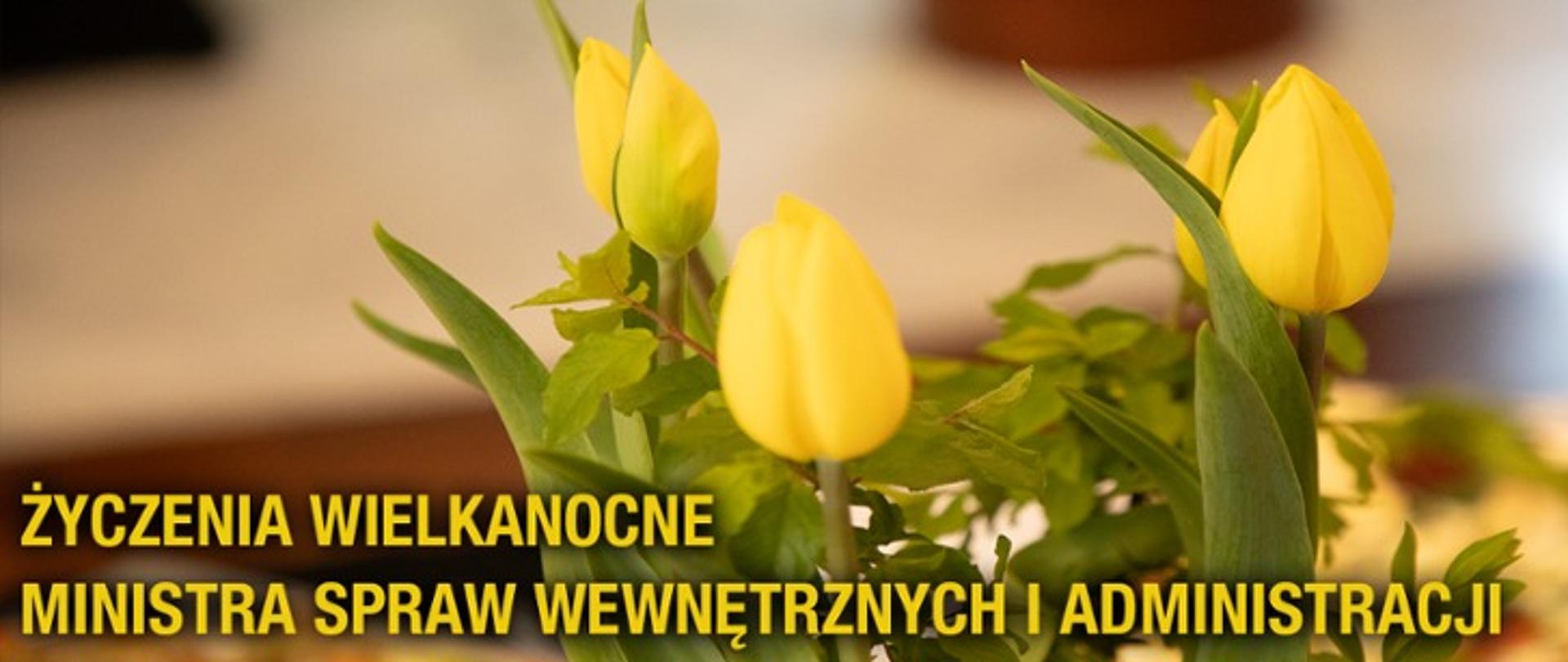 Wielkanocny baner z tłem w kolorze ekri. W środkowej części znajdują się żółte tulipany. W dolnej części widnieje żółty napis: „ŻYCZENIA WIELKANOCNE MINISTRA SPRAW WEWNĘTRZNYCH I ADMINISTRACJI”