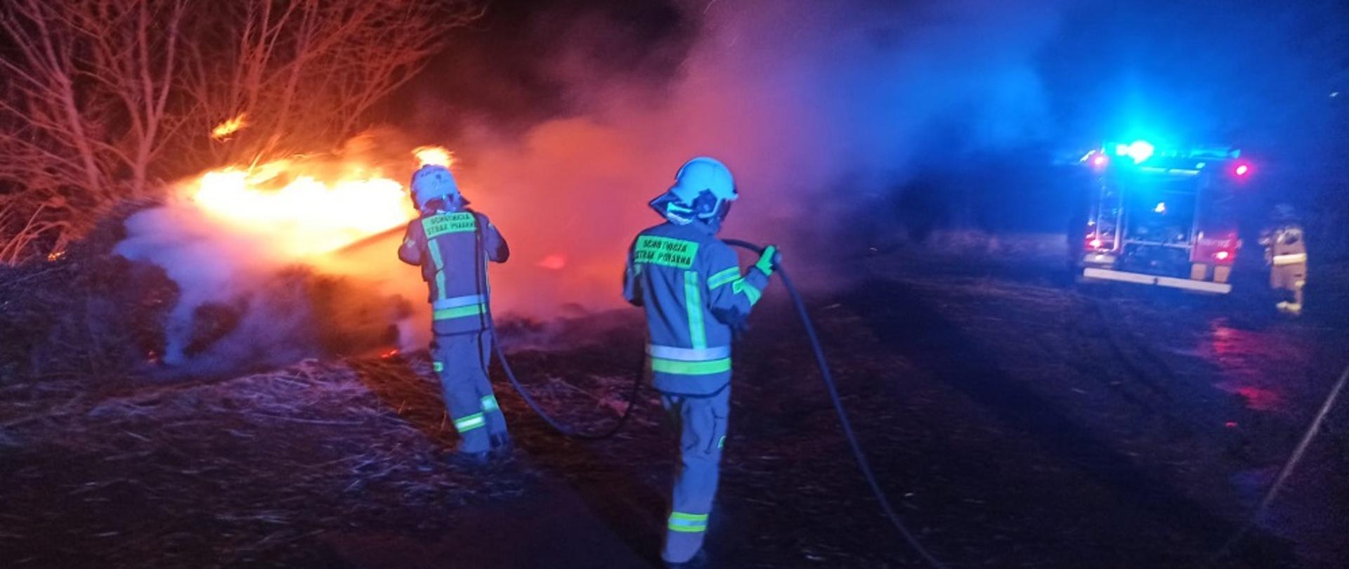 Zdjęcie zrobione nocą. Z lewej strony pali się sterta trzciny. Dwóch strażaków rozwinęło linię gaśniczą, leja wodę na ogień. W oddali z prawej strony samochód strażacki na niebieskich światłach ostrzegawczych.