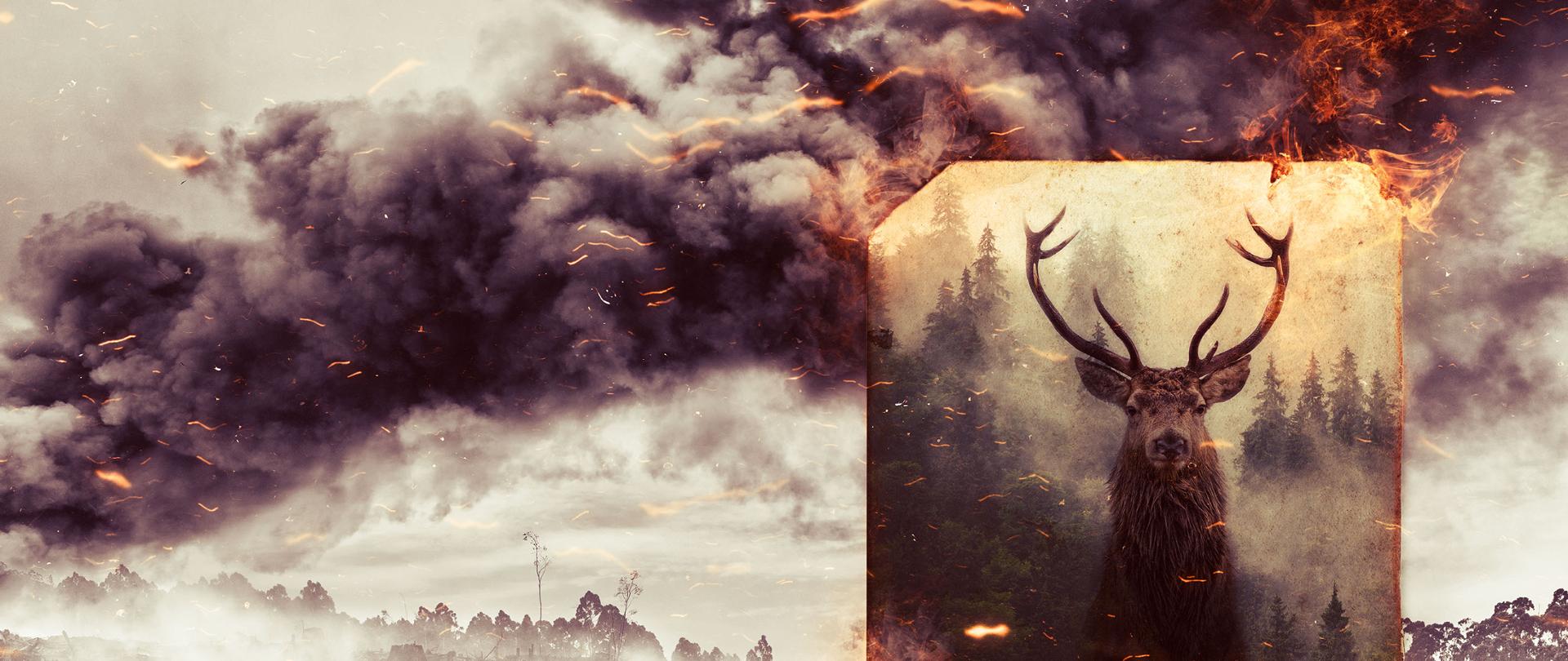 Zdjęcie kampanii Stop pożarom traw. Na zdjęciu zgliszcza popożarowe oraz zarzewia ognia. Na głównym planie popiersie jelenia w zadymieniu.