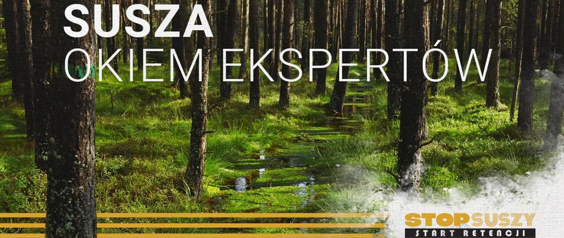 Susza - okiem ekspertów