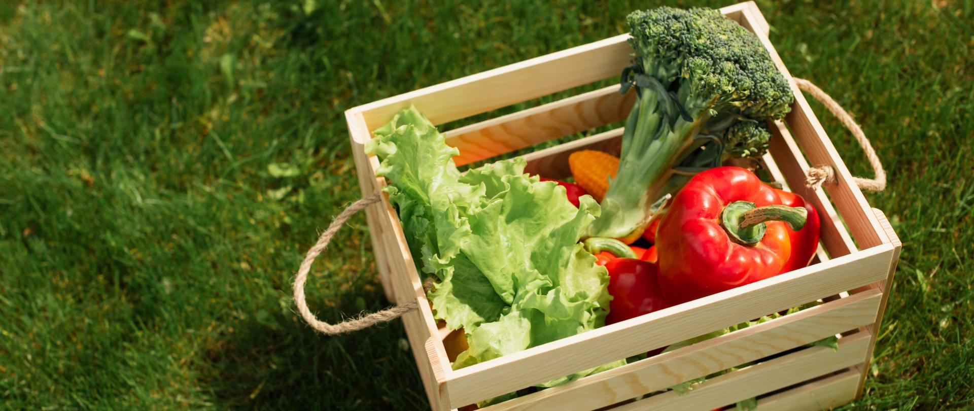 Na zdjęciu jest skrzynka z warzywami. Stoi na trawie.