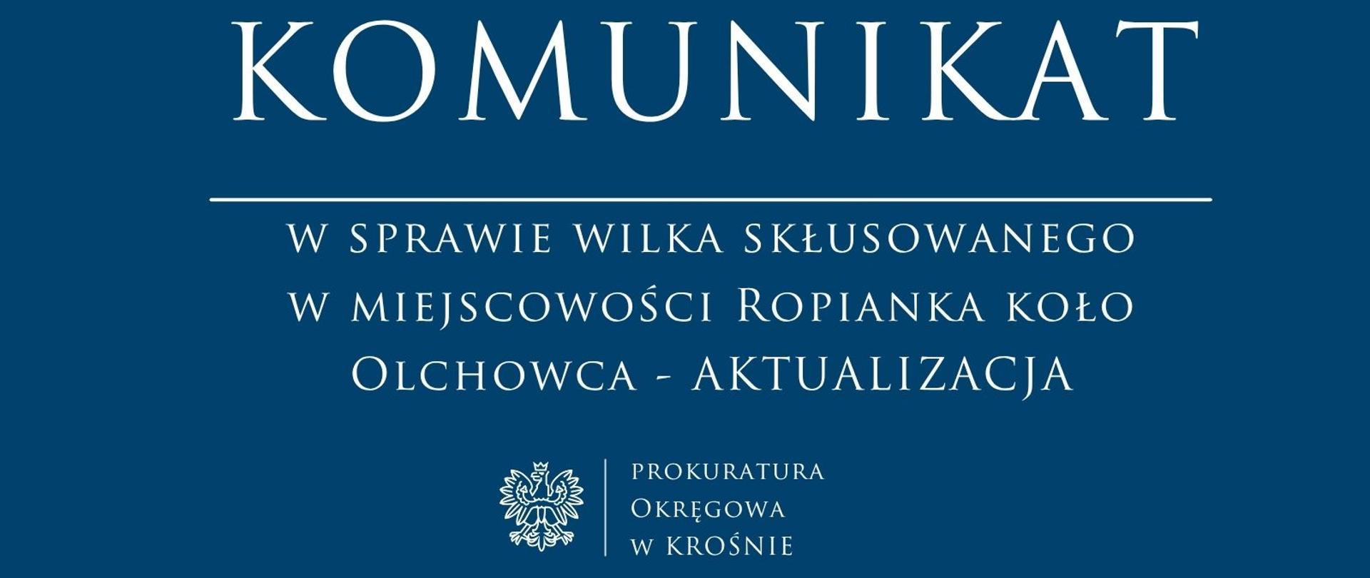 Komunikat prasowy w sprawie wilka skłusowanego w miejscowości Ropianka koło Olchowca - AKTUALIZACJA