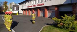 Rybniccy strażacy włączyli się do akcji "Niepodległa do Hymnu"