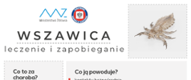Wszawica - leczenie i zapobieganie - format panorama