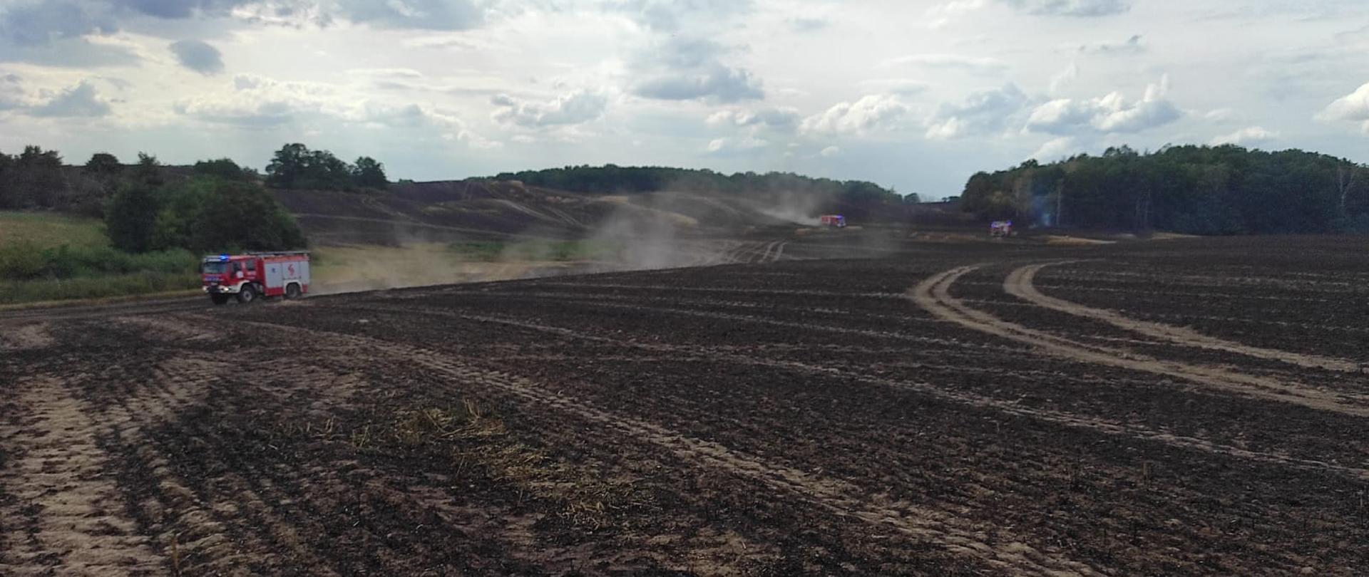 Na zdjęciu widać spalone pole uprawne. W tle pojazdy ratowniczo-gaśnicze.