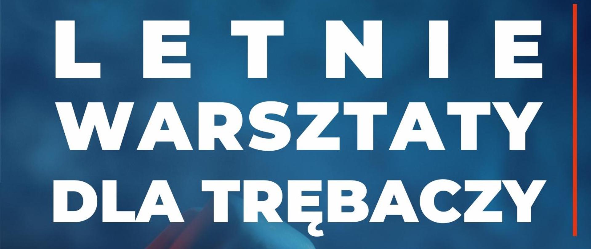 Plakat z tłem w kolorach odcieni niebieskiego z informacją o imprezie w kolorze białym. Pośrodku znajdują się zdjęcia wykładowców z ich opisem w kolorze czarnym. Na dole podana informacja o organizatorach.