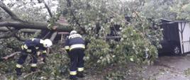 Złamane drzewo leży na blaszanym garażu, dwóch strażaków ochotników tnie je na mniejsze kawałki za pomocą pilarki spalinowej do drewna.