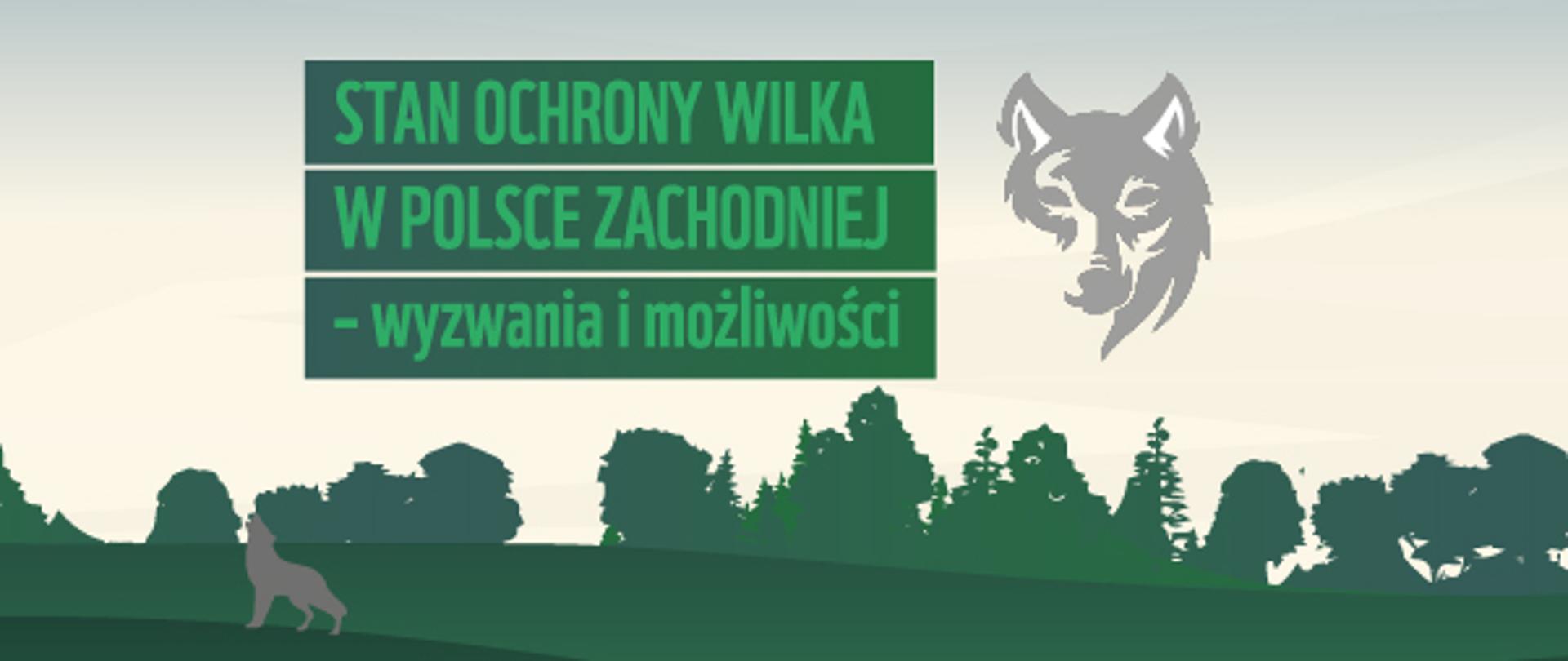 Plakat webinarium napis: Stan ochrony wilka w Polsce zachodniej- wyzwania i możliwości, po lewej stronie u góry rysunek wilka, na dole rysunek ogrodzonego stada owiec. Na dole loga organizatorów wydarzenia.