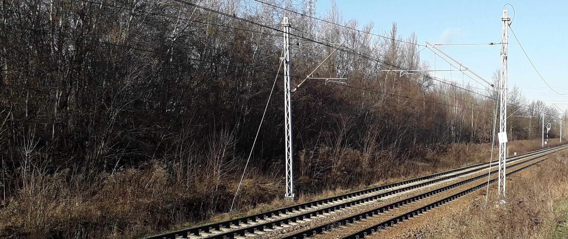 Łódź Zarzew – nowy przystanek na kolejowej mapie aglomeracji łódzkiej