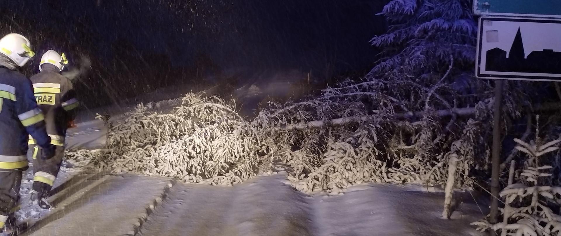 Zdjęcie obrazuje powalone drzewo dwóch strażaków śnieg zalegający na drodze i drzewach oraz znak teren zabudowany 