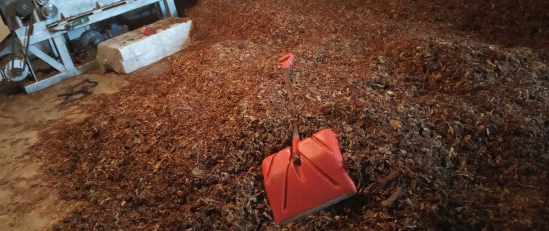 Liście tytoniu i łopata w fabryce nielegalnych papierosów