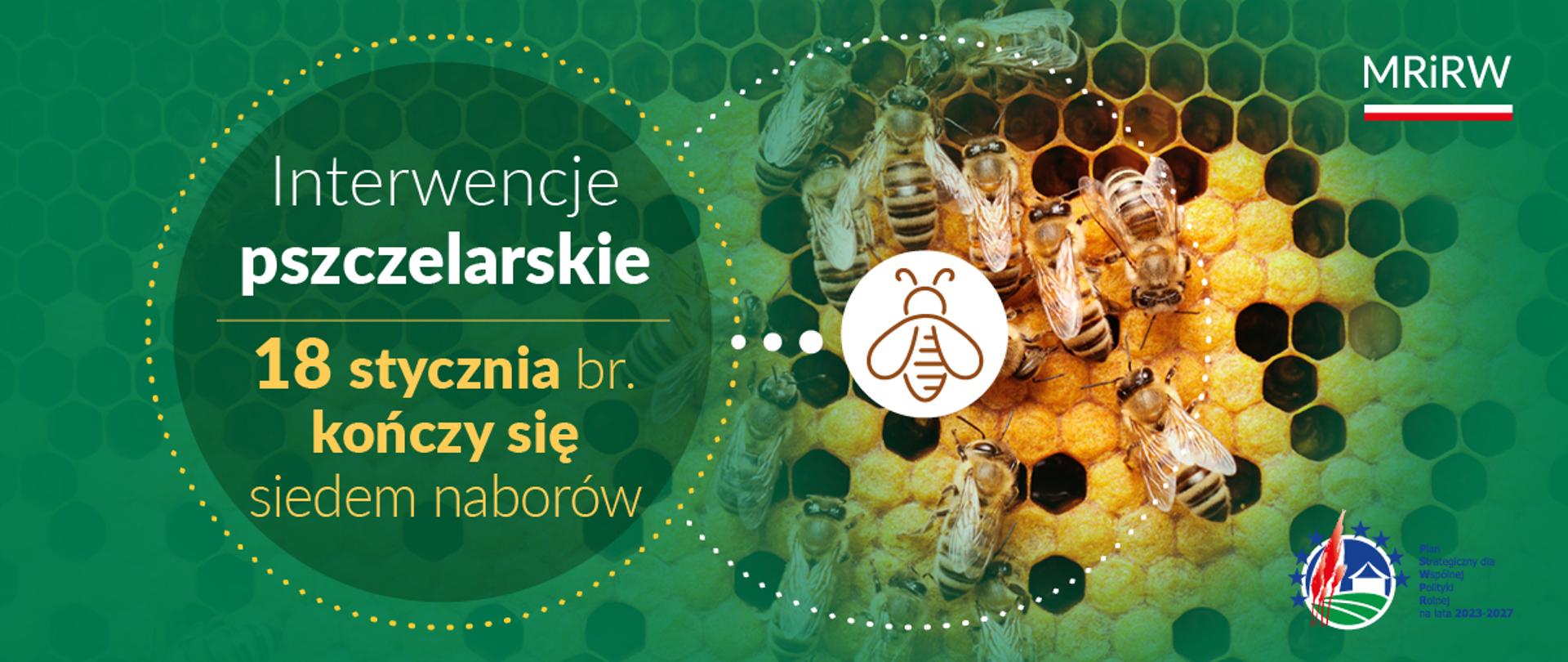 Interwencje pszczelarskie - 18 stycznia kończy się siedem naborów